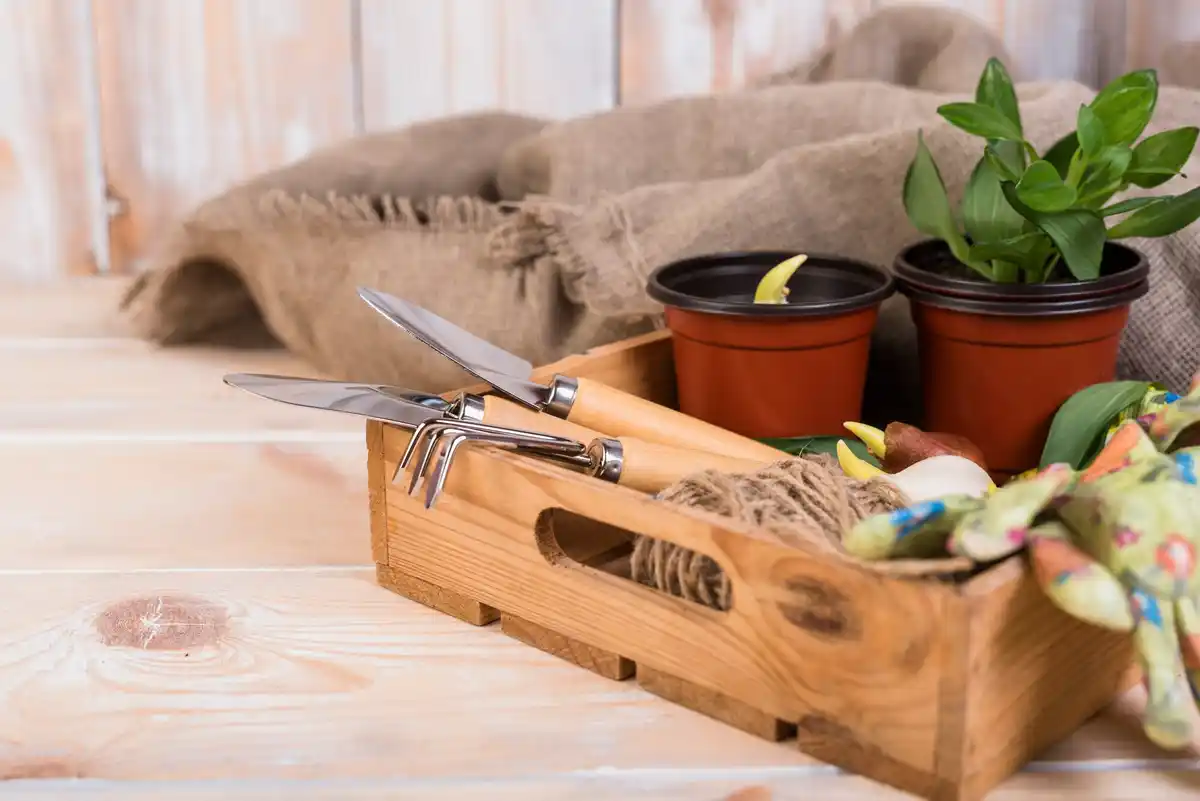 urban balcony vegetable garden pots