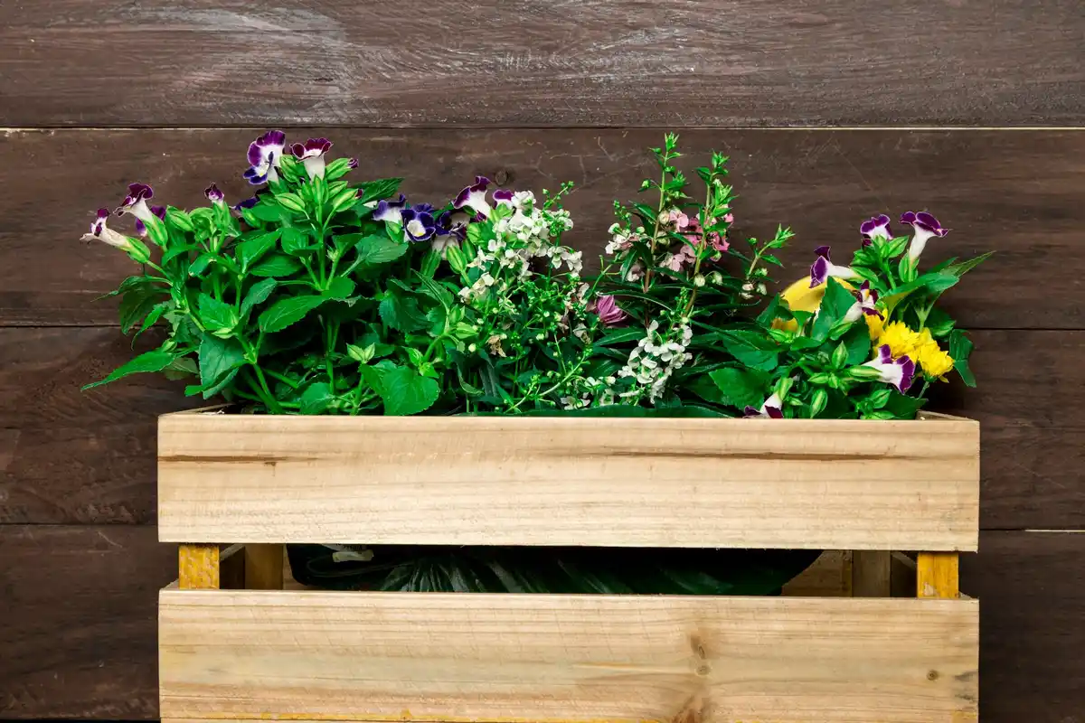 balcony garden containers with herbs and vegetables