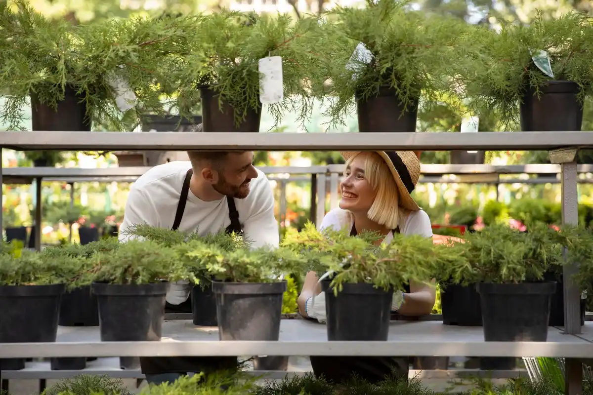 urban balcony vegetable garden container pots