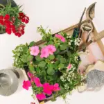 urban balcony vegetable garden herbs colorful pots