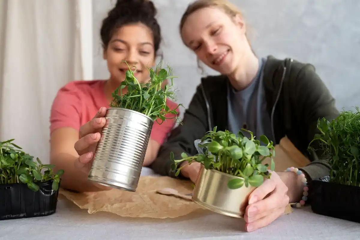 urban balcony vegetable garden beginners