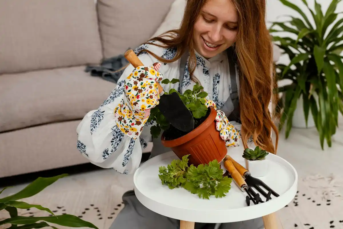 balcony herb garden care tips