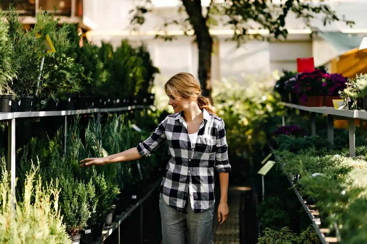 balcony vegetable garden fresh herbs Netherlands