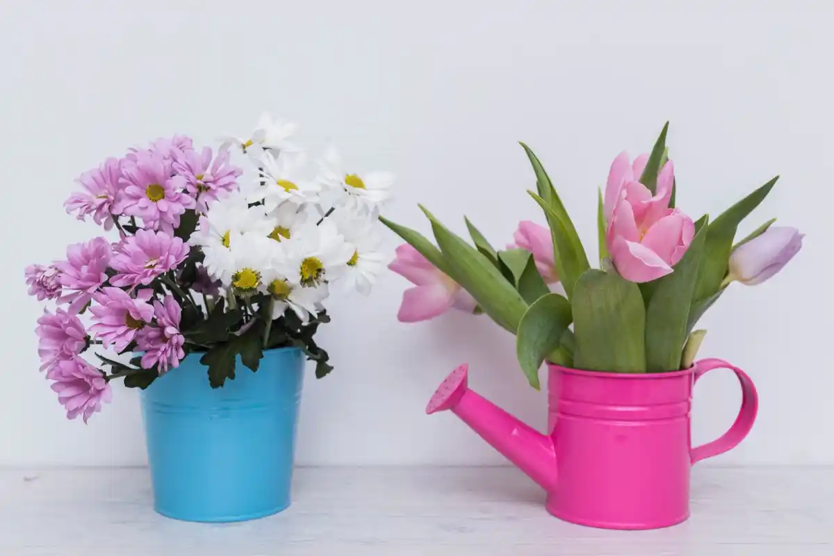 Dutch balcony plants in colorful pots