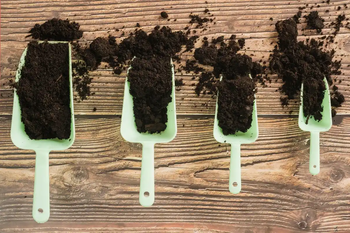 Different types of potting soil for balcony plants