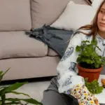 cozy indoor houseplants modern living room