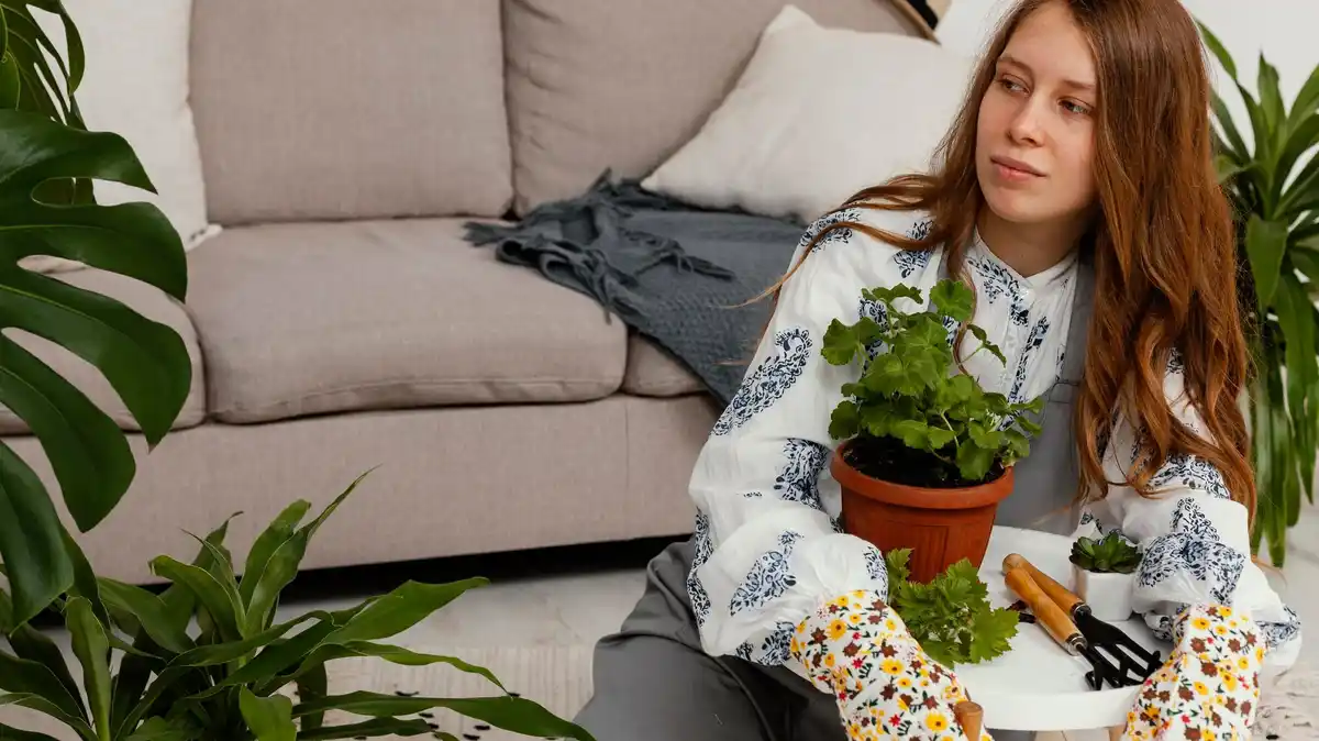 cozy indoor houseplants modern living room
