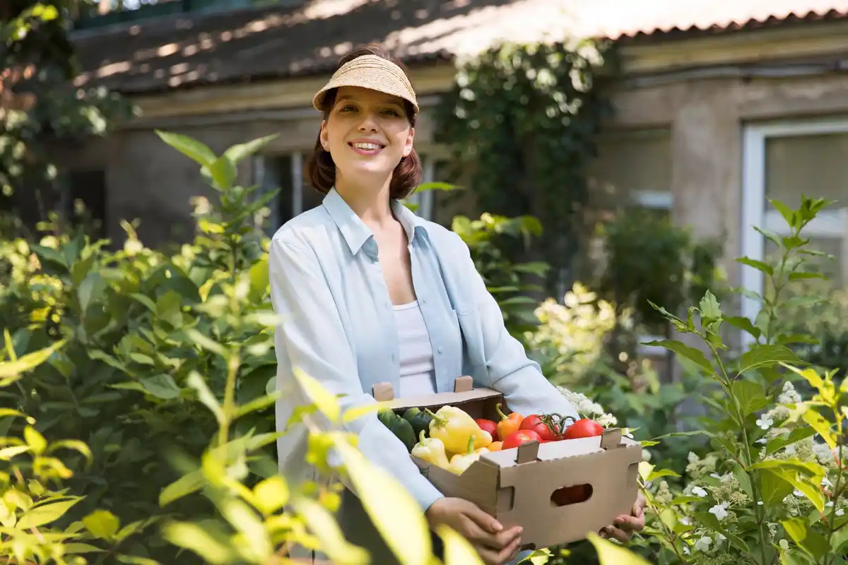 urban vegetable garden Dutch backyard fresh harvest