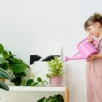 indoor plant care mistakes houseplants wilted leaves
