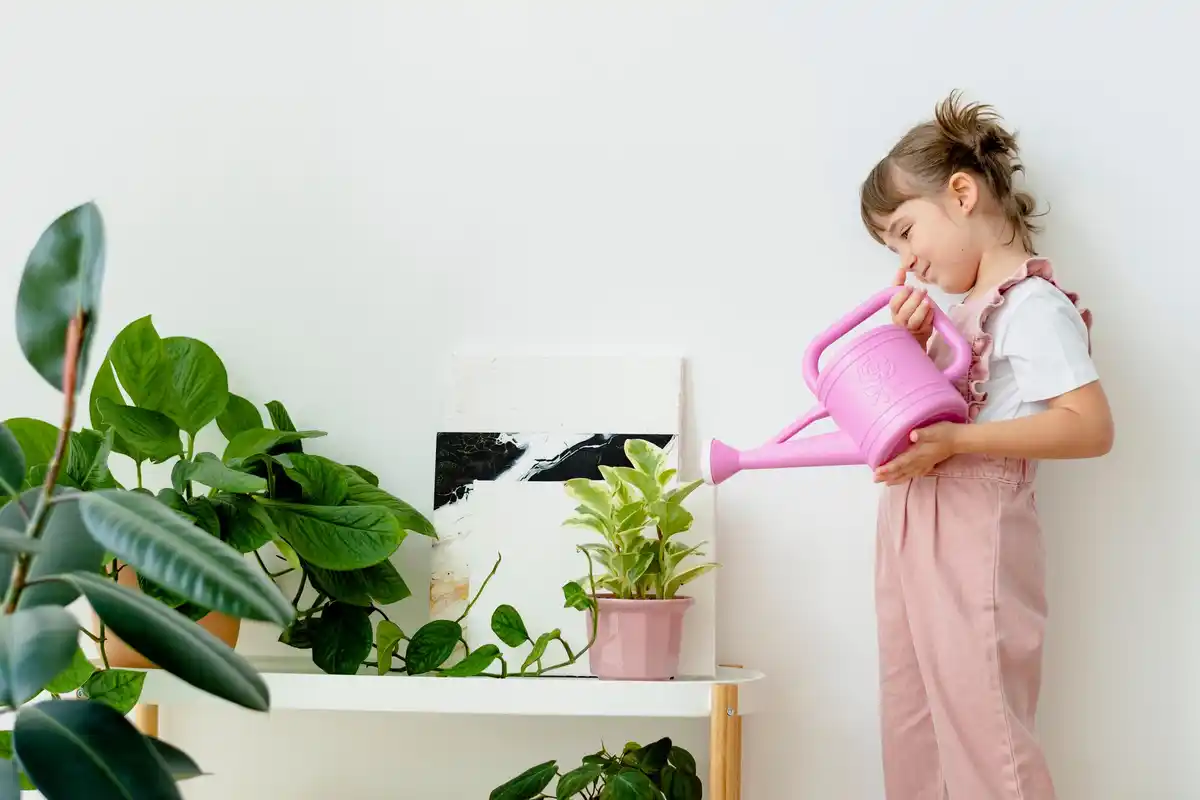 indoor plant care mistakes houseplants wilted leaves