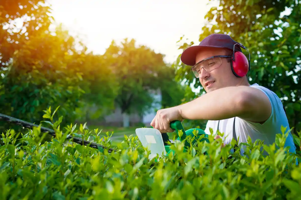 efficient garden watering system