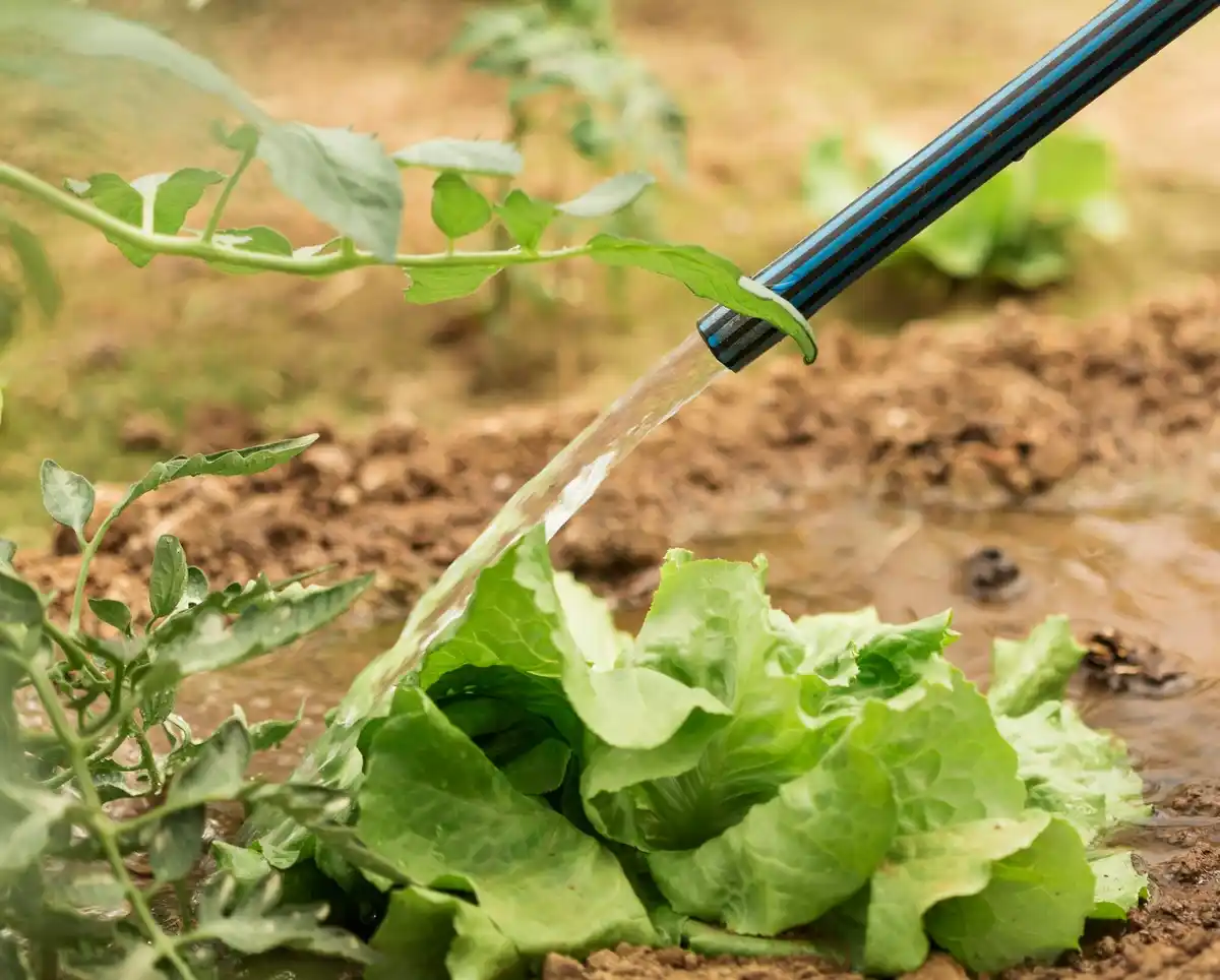 drip irrigation garden system