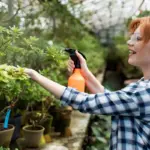 automatic garden irrigation system with sprinkler and timer netherlands