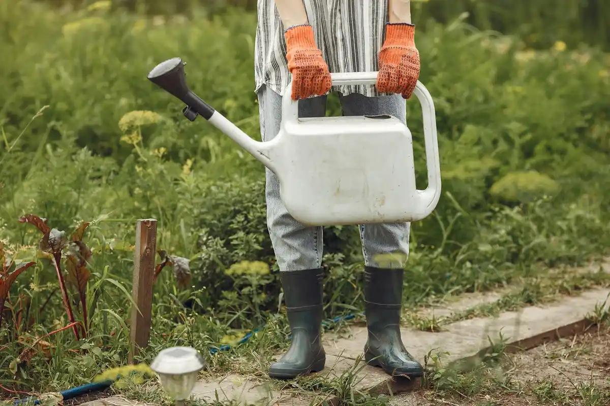 automatic water-saving garden irrigation system