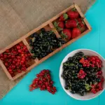 fresh Dutch berries summer harvest