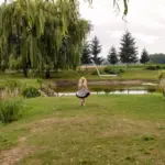 automatic garden irrigation system Netherlands backyard