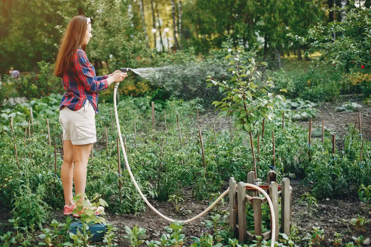 automatic garden irrigation system backyard