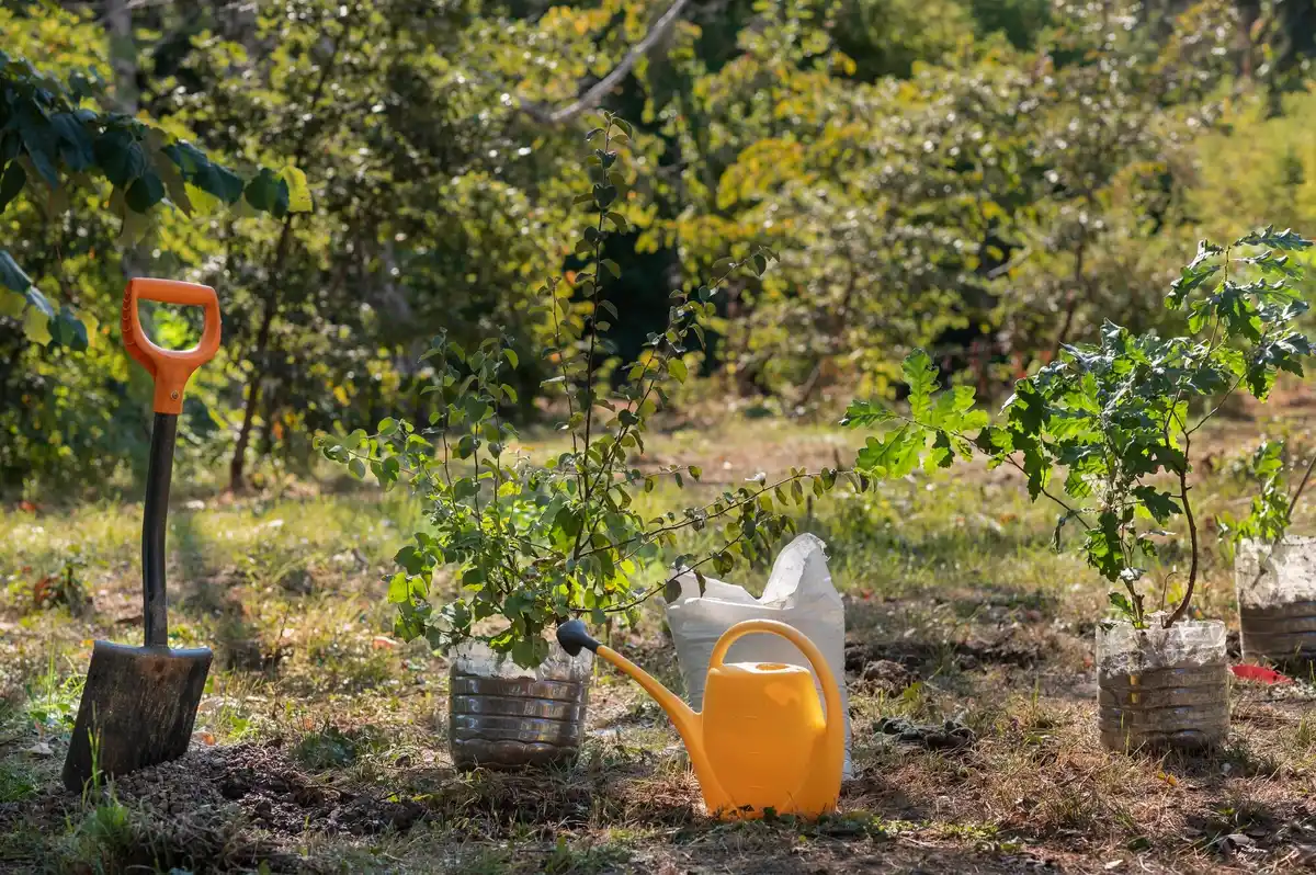 drip irrigation setup garden Netherlands