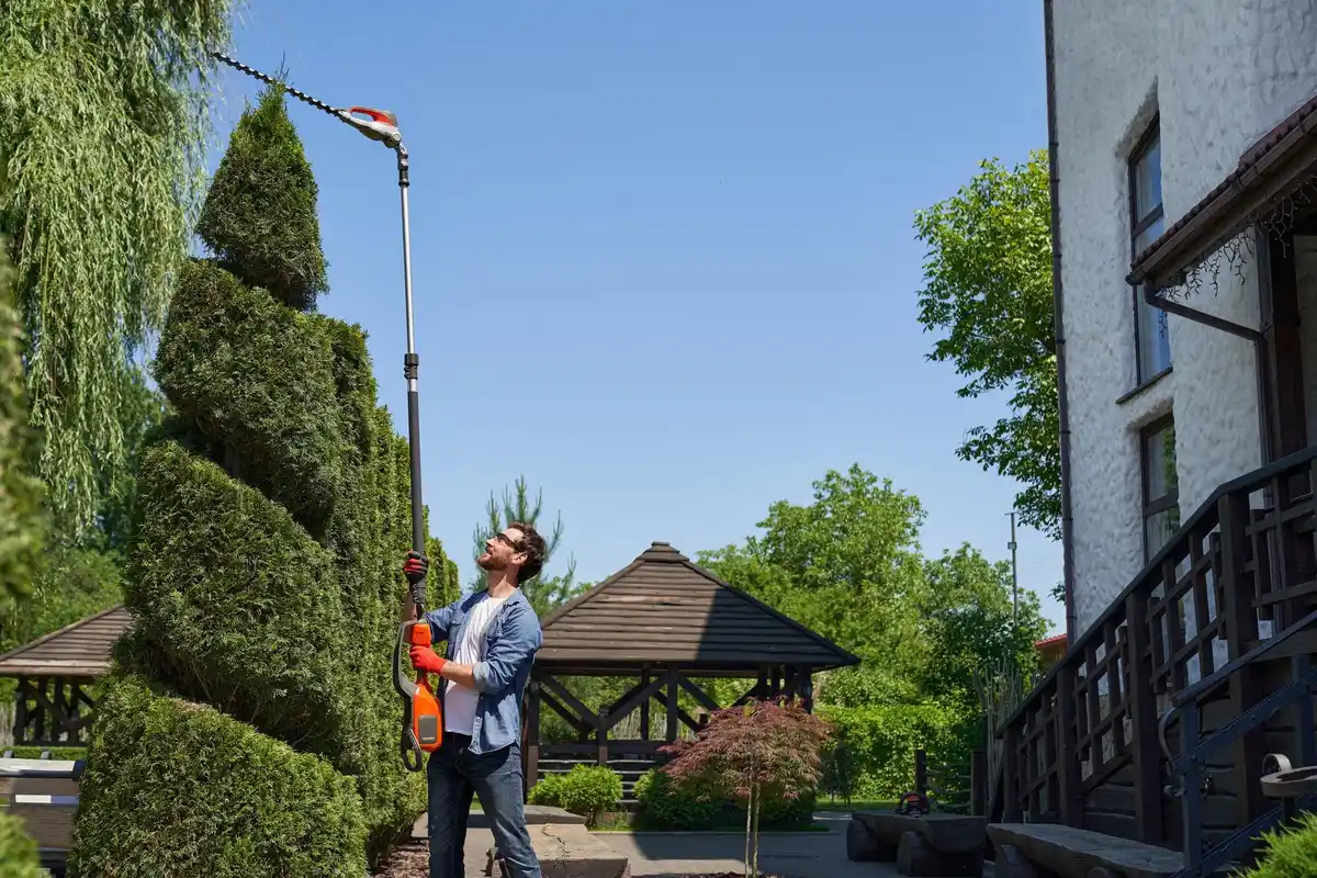smart garden irrigation system Netherlands backyard