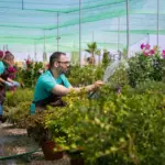 smart garden irrigation system automatic watering Dutch garden