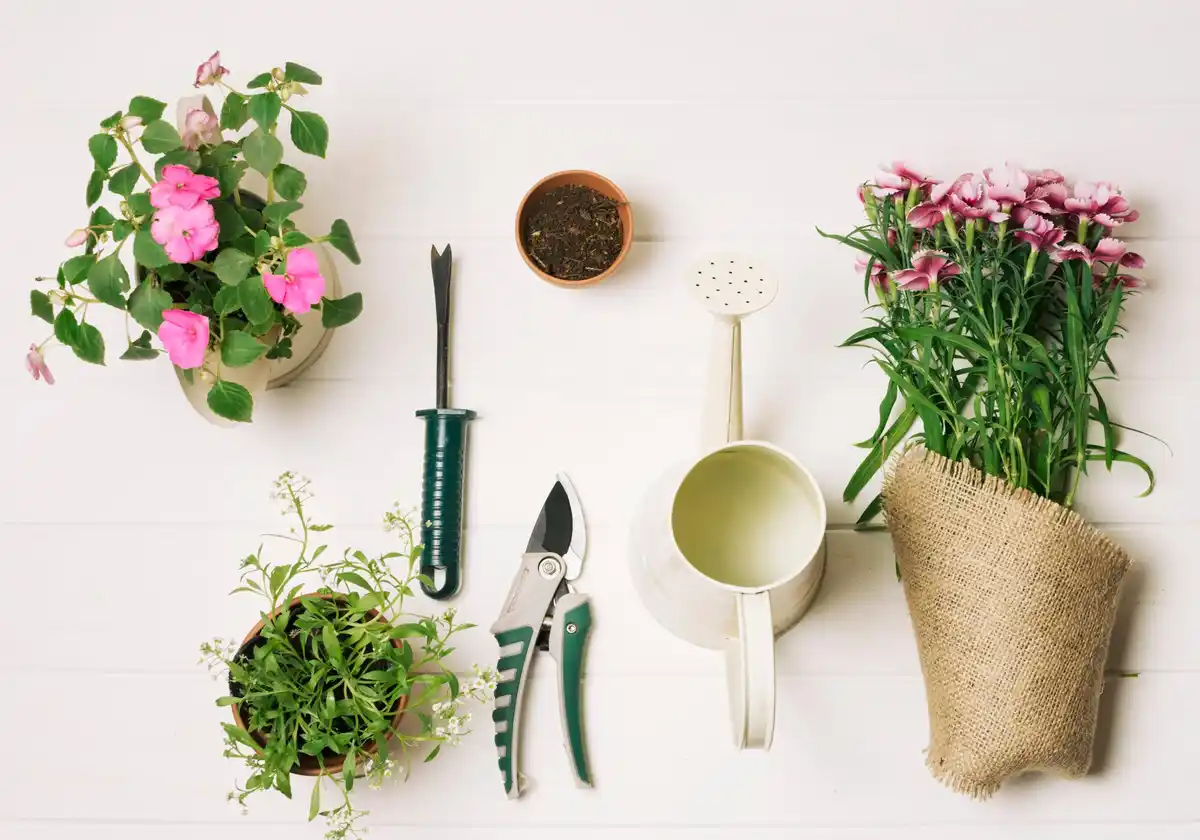 fresh herbs balcony garden urban planting in pots