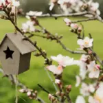 garden fruit tree bird protection netting