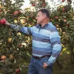 abundant apple and pear orchard Netherlands