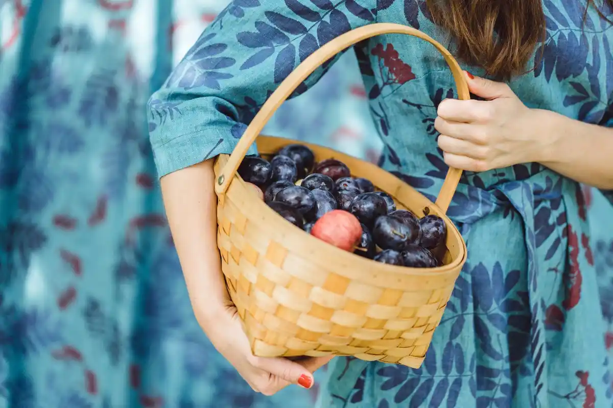 fresh berries in a garden basket