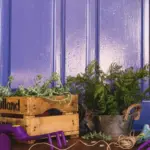 colorful balcony container garden dutch urban plants