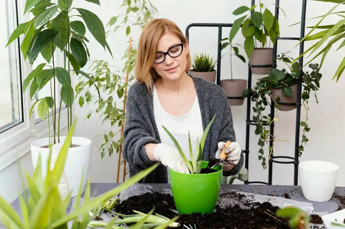 balcony container gardening mistakes solutions