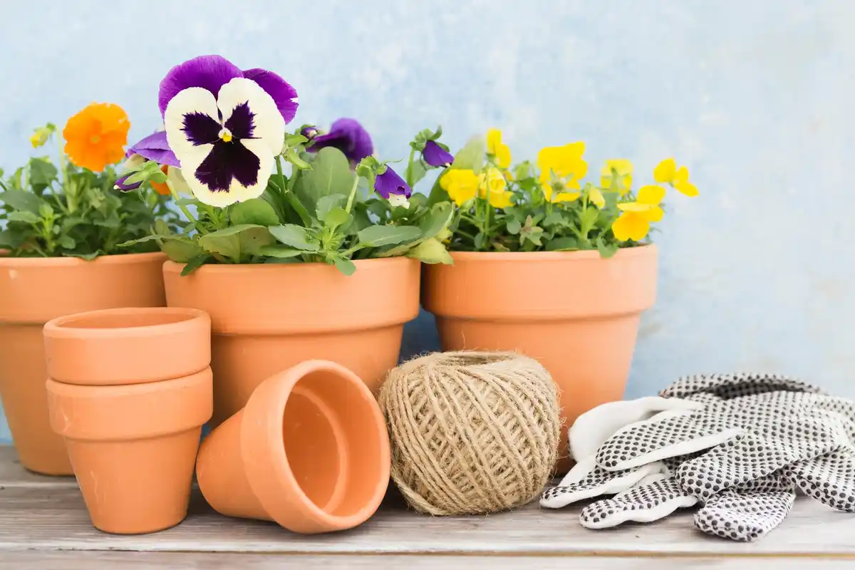 balcony garden pots various sizes