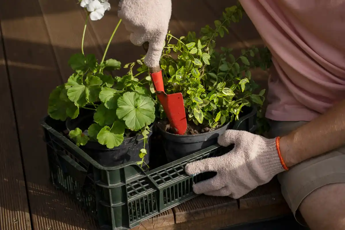 container vegetable gardening with herbs and veggies