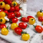 juicy ripe garden tomatoes close-up summer harvest