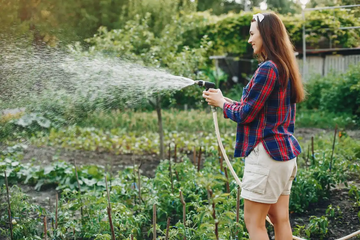 watering vegetable seeds garden fine mist nozzle
