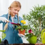 easy beginner vegetable gardening balcony sunlight
