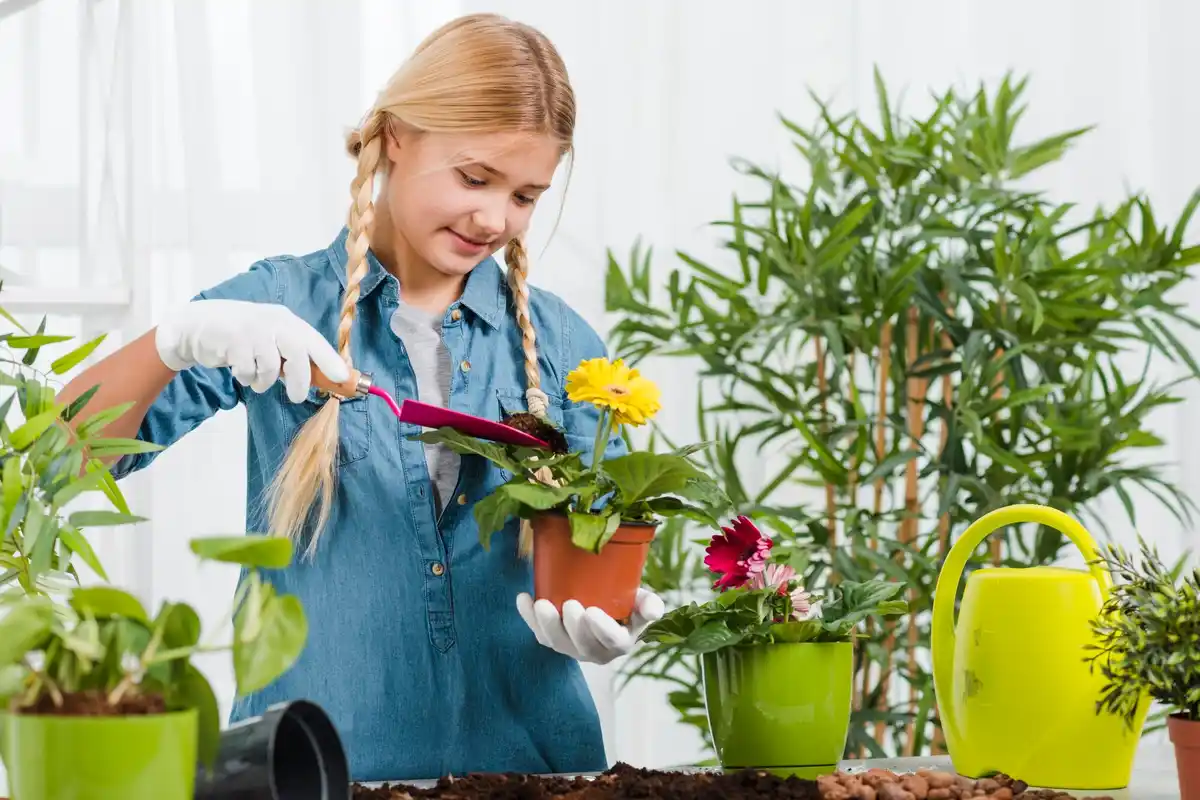 easy beginner vegetable gardening balcony sunlight