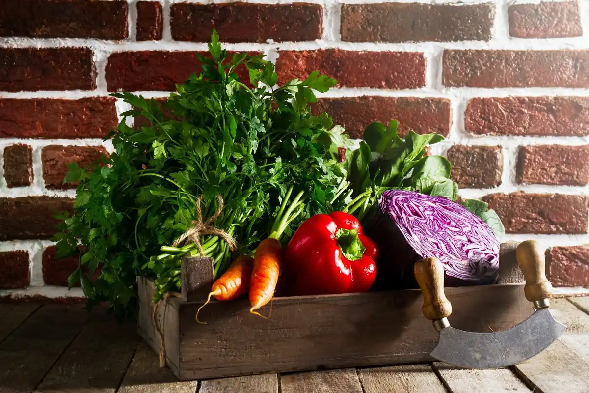 urban balcony herb garden fresh vegetables