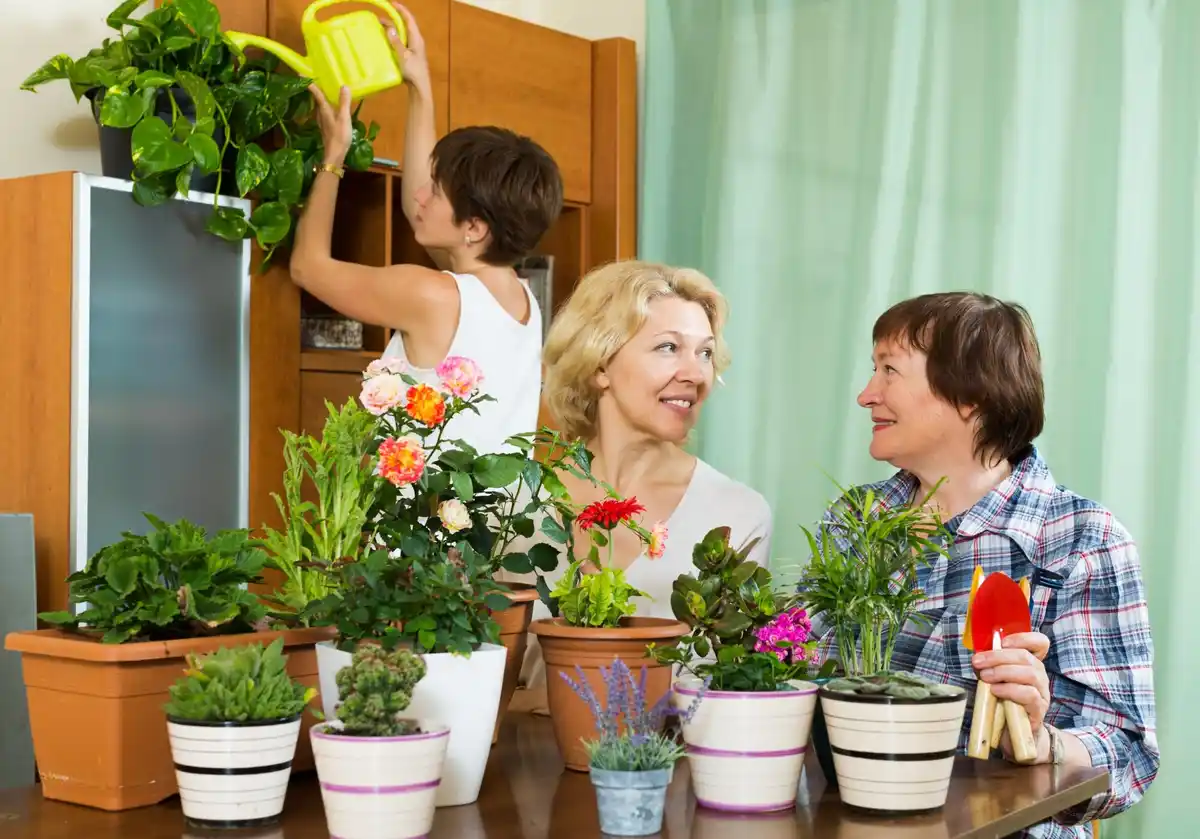 urban balcony vegetable garden pots