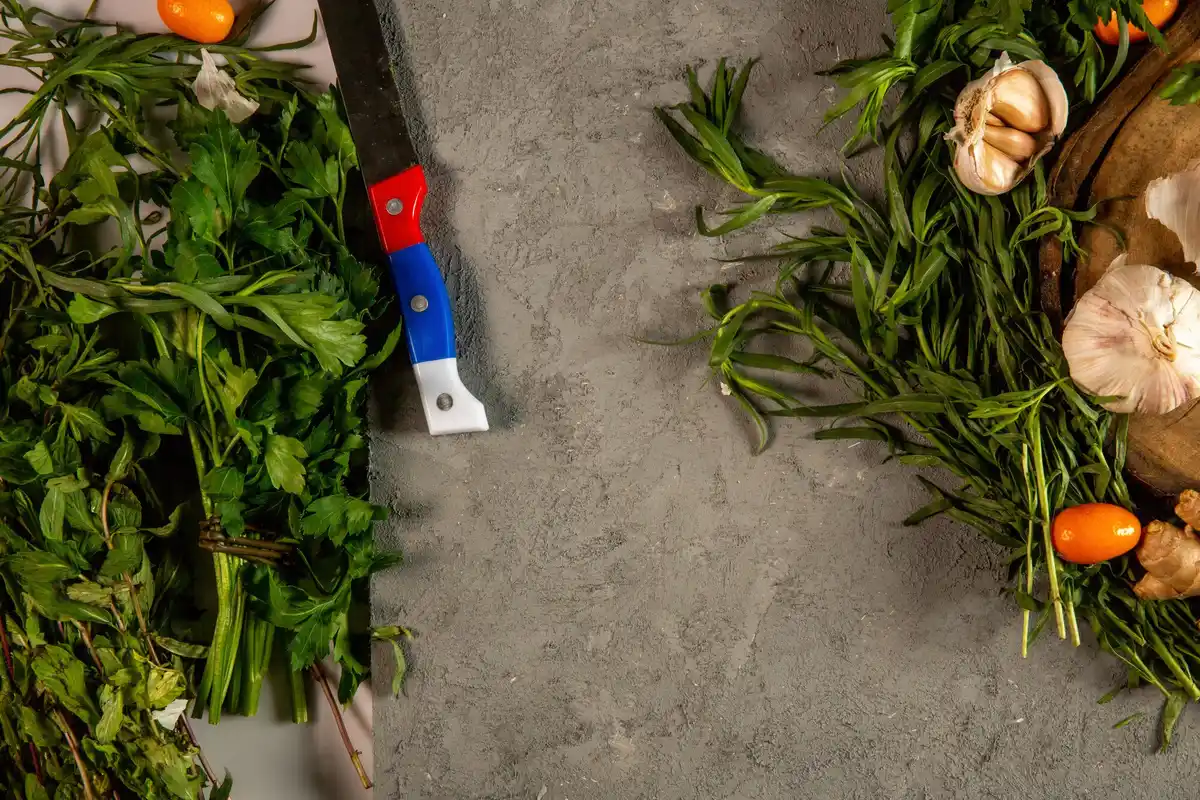 Dutch vegetable garden with healthy and unhealthy plants comparison