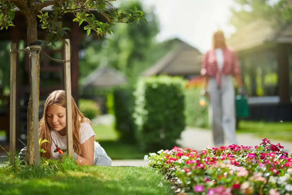 lush green lawn spring gardening netherlands backyard care