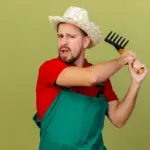 dutch lawn care mistakes