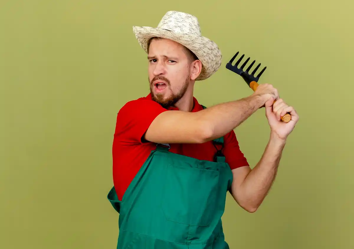 dutch lawn care mistakes