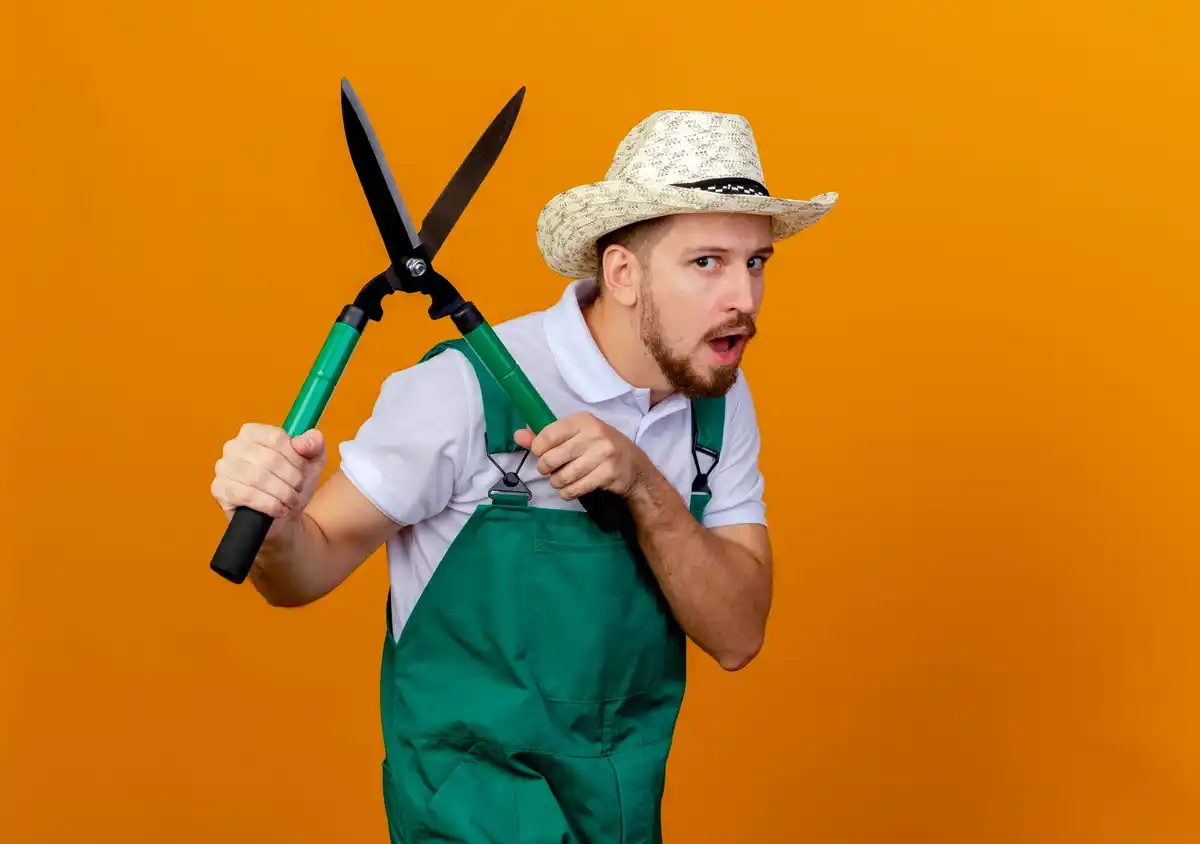Dutch lawn care mistakes