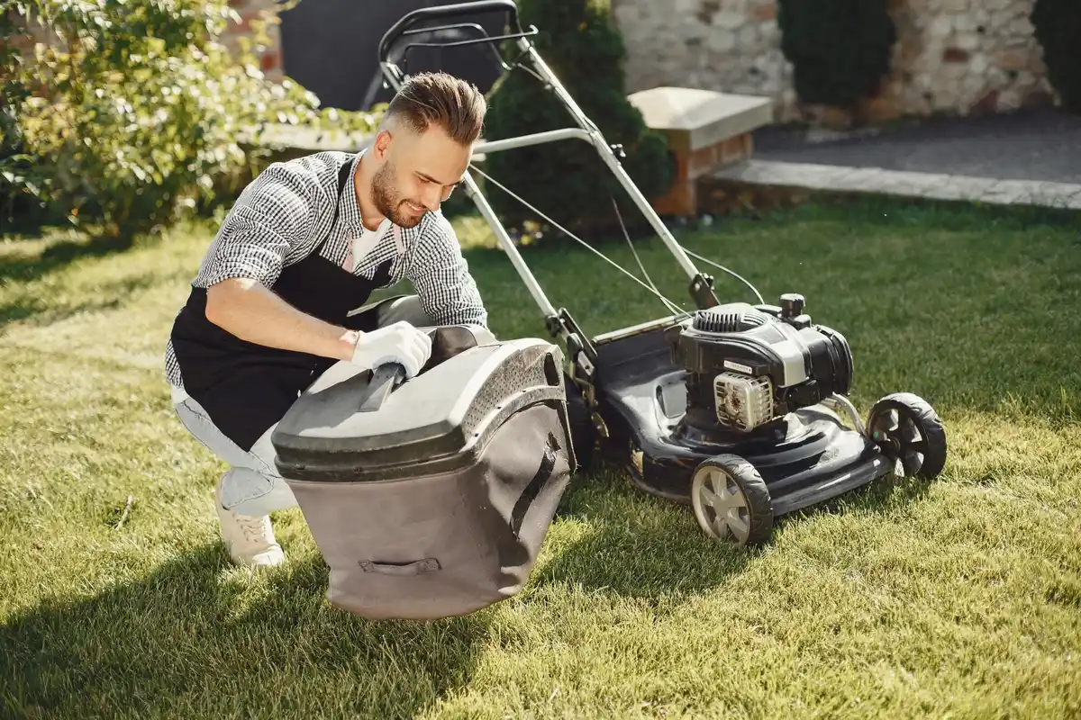 Dutch garden lawn mower cutting grass sunny day
