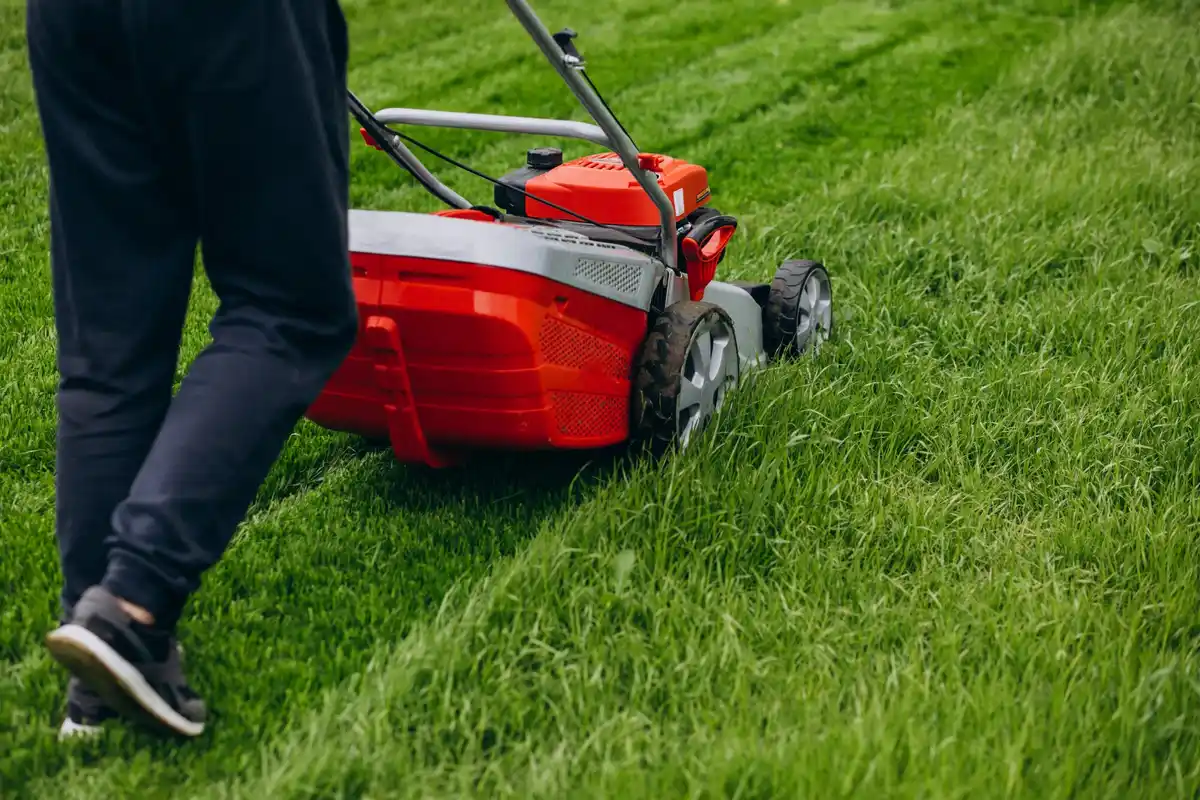 Dutch garden lawn mowing