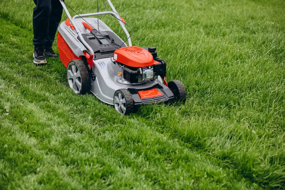 Lawn mower cutting grass in Dutch garden