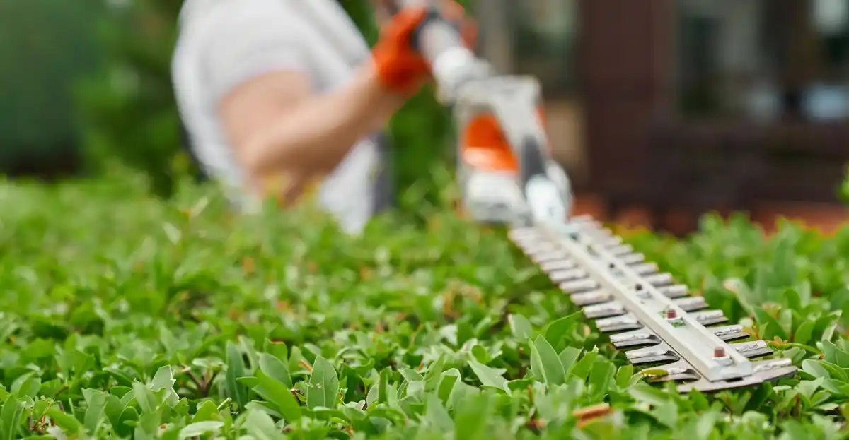 Dutch verticutting lawn care garden tool spring