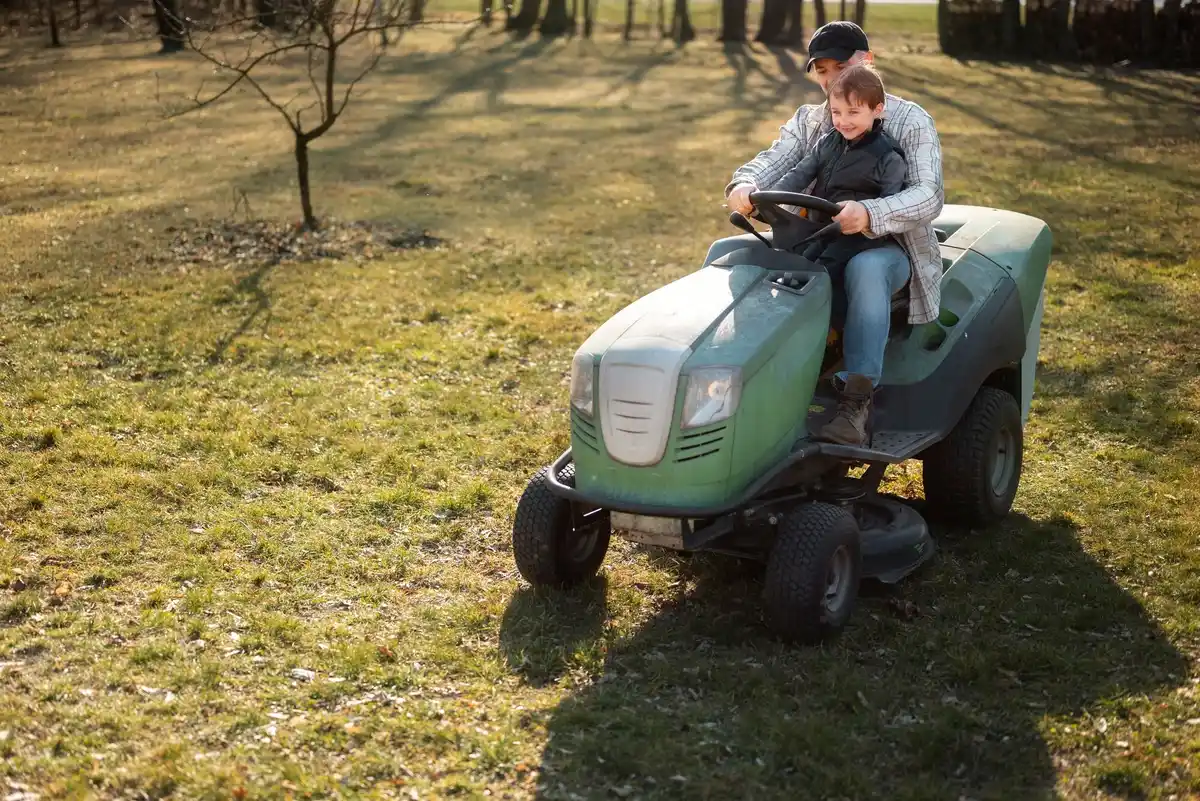 healthy green lawn mowing in Dutch garden