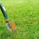 lawn mower cutting green grass close up