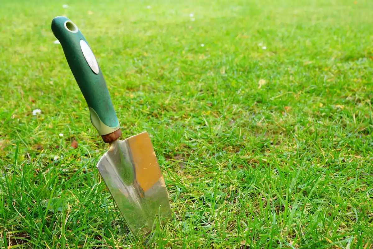 lawn mower cutting green grass close up